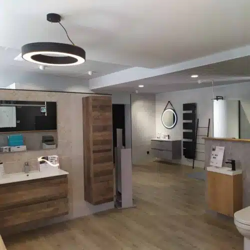 Salle de bains moderne : deux vasques avec miroirs, mobilier en bois clair et blanc, toilettes au premier plan et plafonnier circulaire au plafond, vue sur d’autres équipements.
