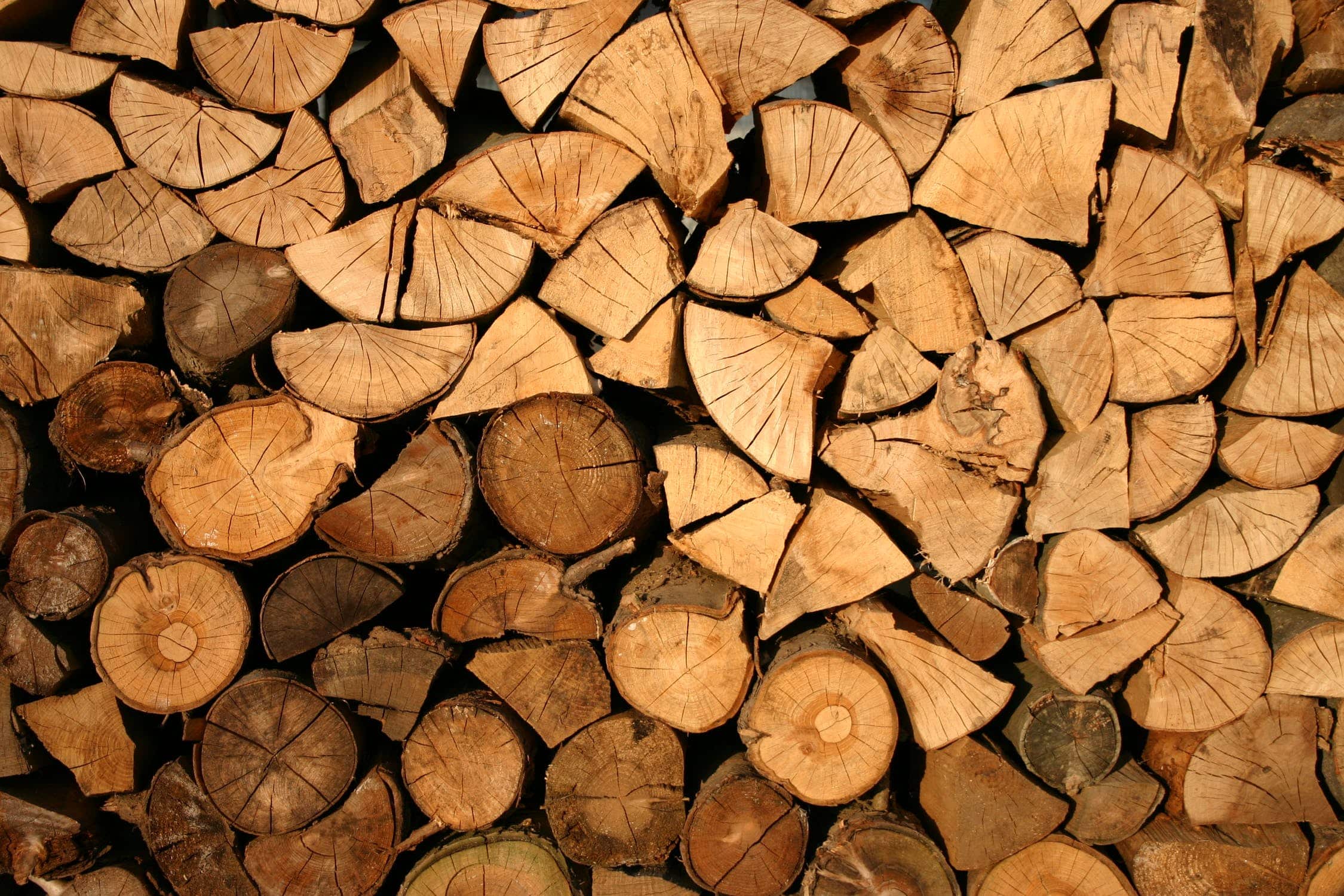 Tas de bûches de bois fendues, vues en coupe avec anneaux visibles, remplissant tout l’image.