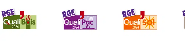 qualipac viessmann pac